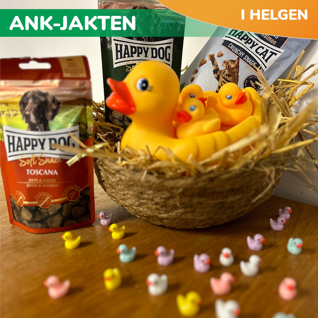 ANK-JAKTEN