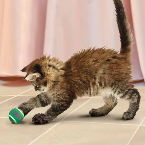 Kong Cat Active Tennisball W/Bells - 4 CM