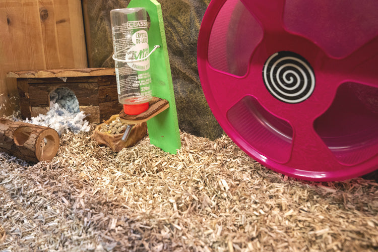 HOTELL - FÖR HAMSTER, GERBIL, DEGU, MUS / DYGN | Endast 99 kr! - Zoogiganten