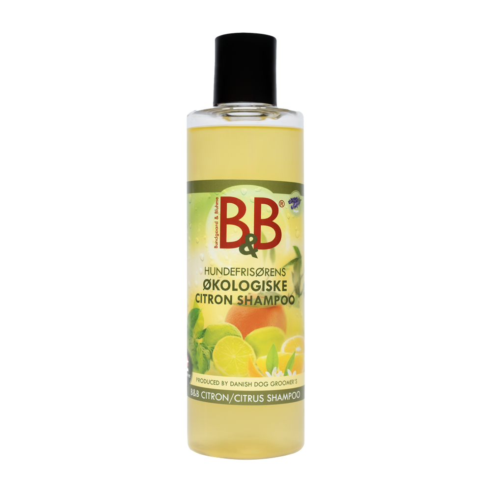 B&B Citrus - 250 ML