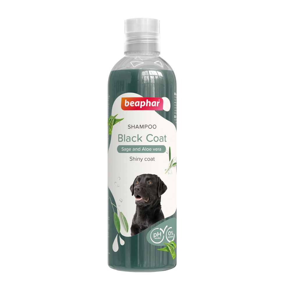 Schampo Svart - 250 ML