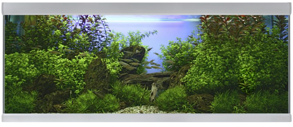 Akvastabil Fusion Akvarium - 576 L