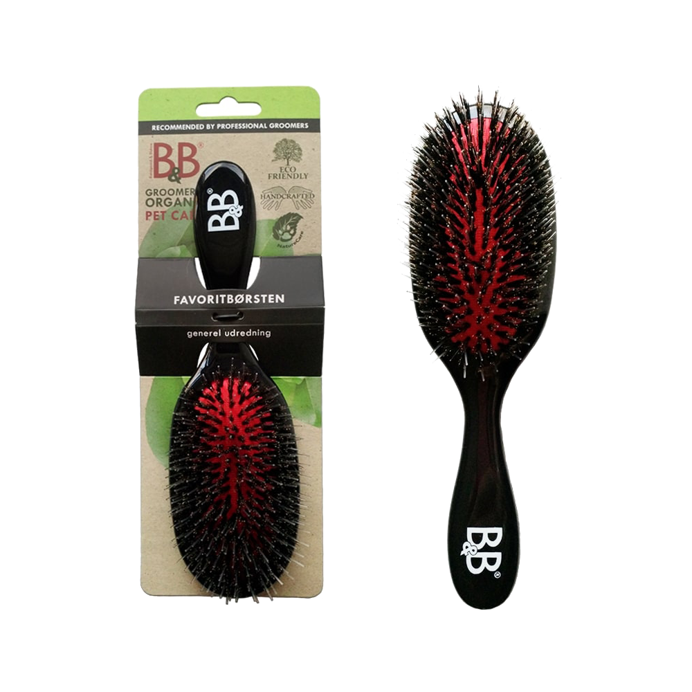 B&B Favoritborste