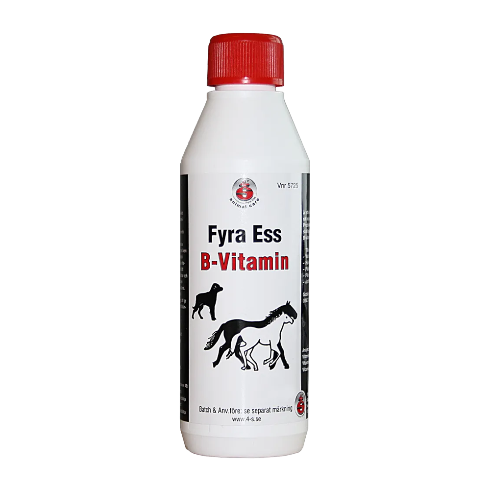 F.ess B - Vitamin - 1000 ML