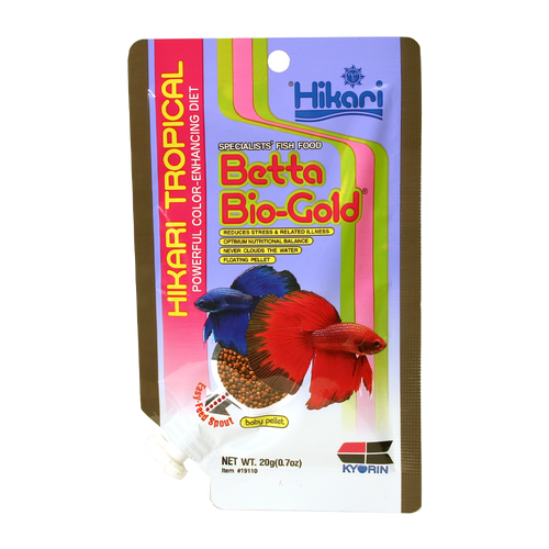 Hikari Betta Gold Kampfisk | Endast 129 kr! - Zoogiganten