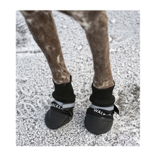 Hundskor Walker Comfort 2-Pack Svart