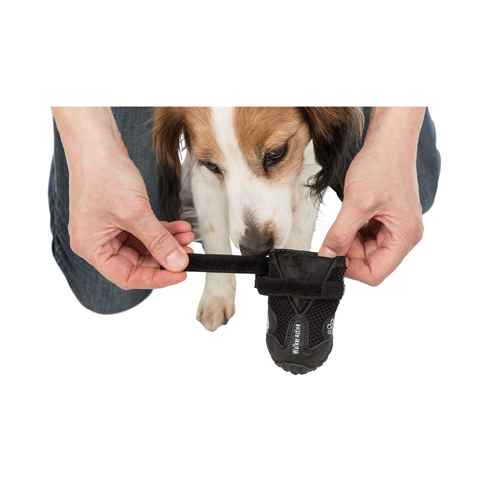 Hundskor Walker Active 2-Pack Svart