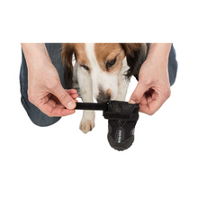 Hundskor Walker Active 2-Pack Svart