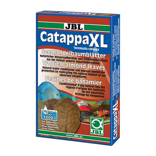 JBL Catappa XL - 10 Blad | Endast 219 kr! - Zoogiganten