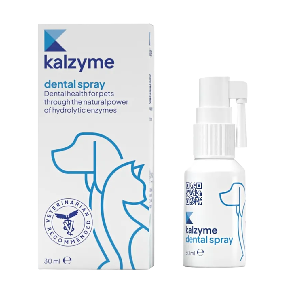 Kalzyme Dental Spray - 30ml