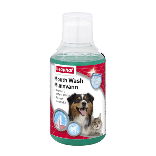 No Love Spray Hund