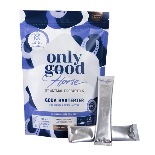 OnlyGoodHorse sticks - 15-pack