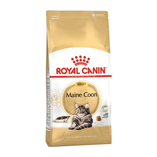 Royal Canin Maine Coon Adult - 4 KG | Endast 649 kr! - Zoogiganten