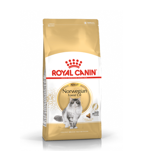 Royal Canin Norsk Skogskatt Adult - 10 KG | Endast 1349 kr! - Zoogiganten
