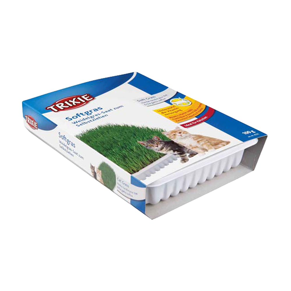 Kattgräs Mjukt Vitaminberikad med Odlingslåda Ca - 100 G