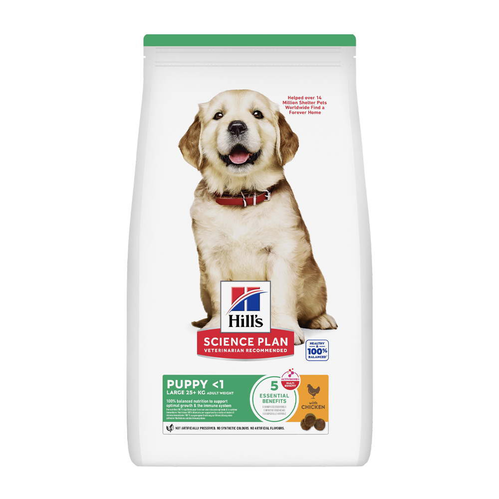 Science Plan Puppy Large Breed Chicken - 12 KG