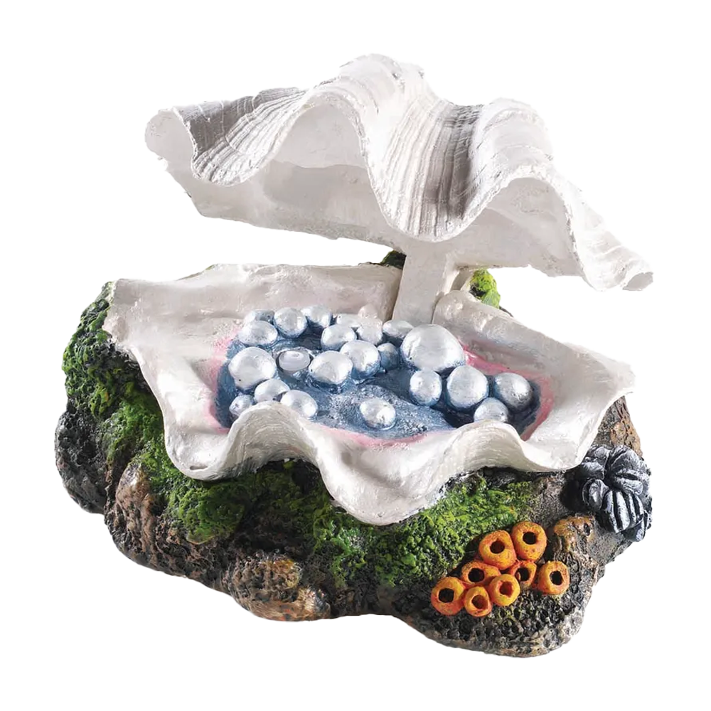 Stängande Mussla - 17x12.5x10 CM