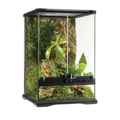 Terrarium Exoterra Mini Tall - 30X30X45 CM | Endast 1219 kr! - Zoogiganten