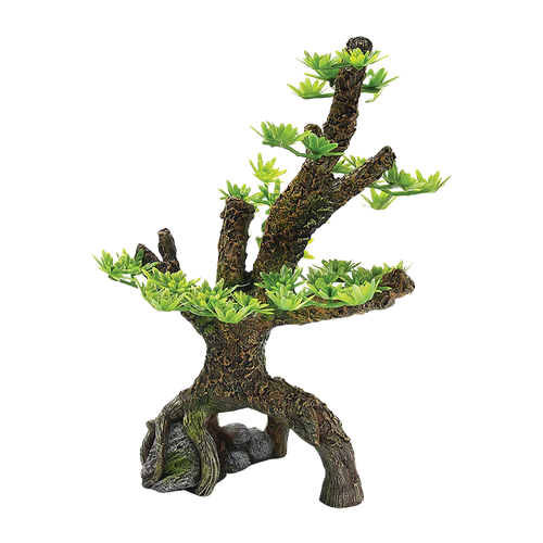 Träd Akvarium - 13.5X9X21 CM | Endast 169 kr! - Zoogiganten