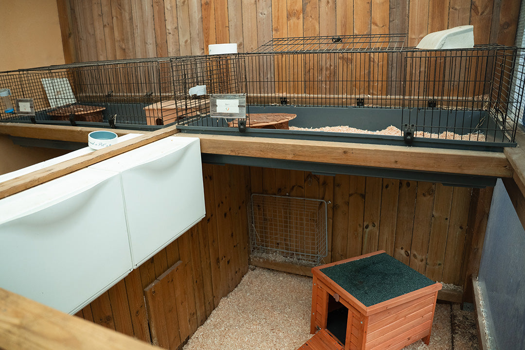 HOTELL - UTEHAGE FÖR KANIN & MARSVIN / DYGN