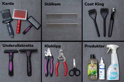 HUND - Pälsvårdsskolan | Endast 439 kr! - Zoogiganten