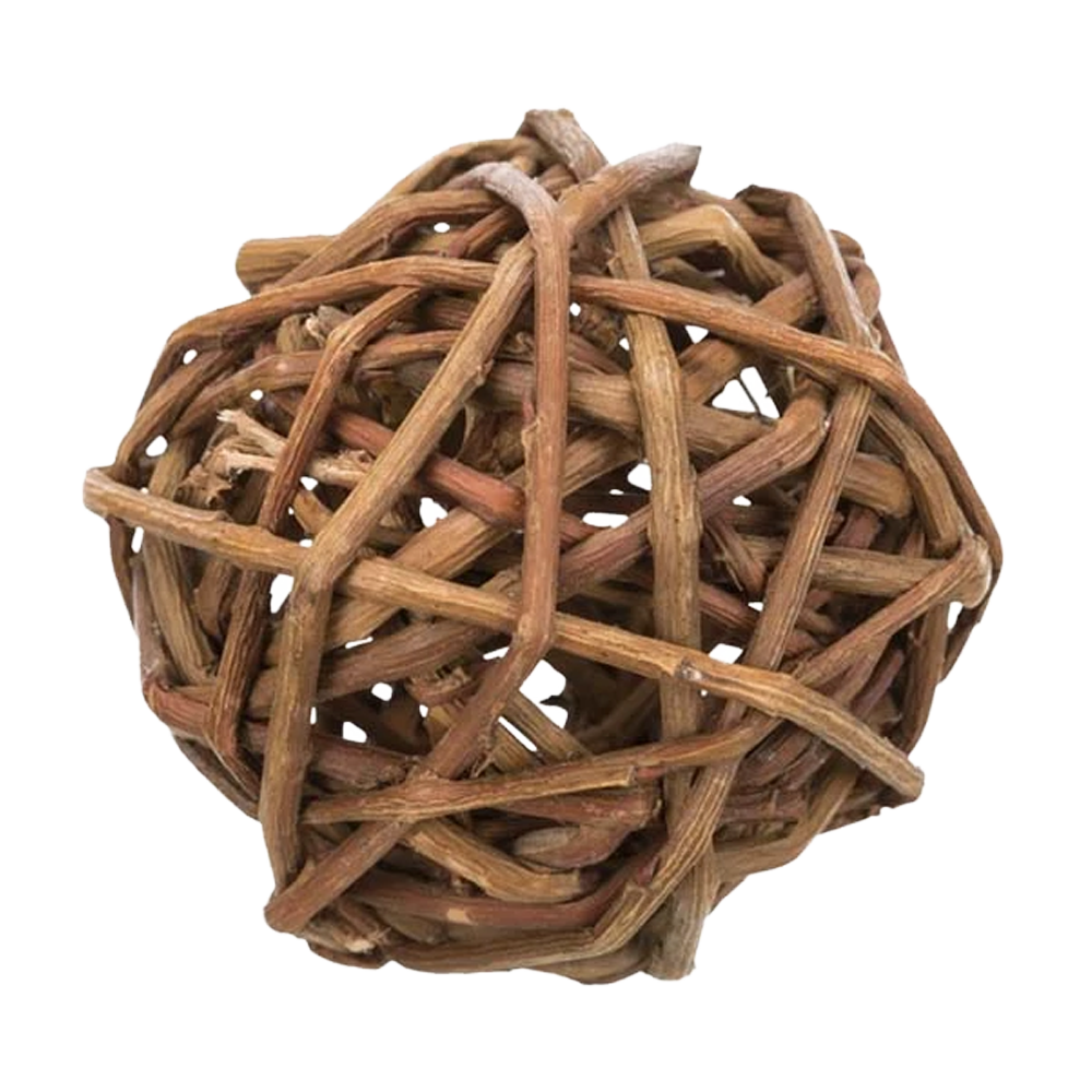 Videboll gnagare