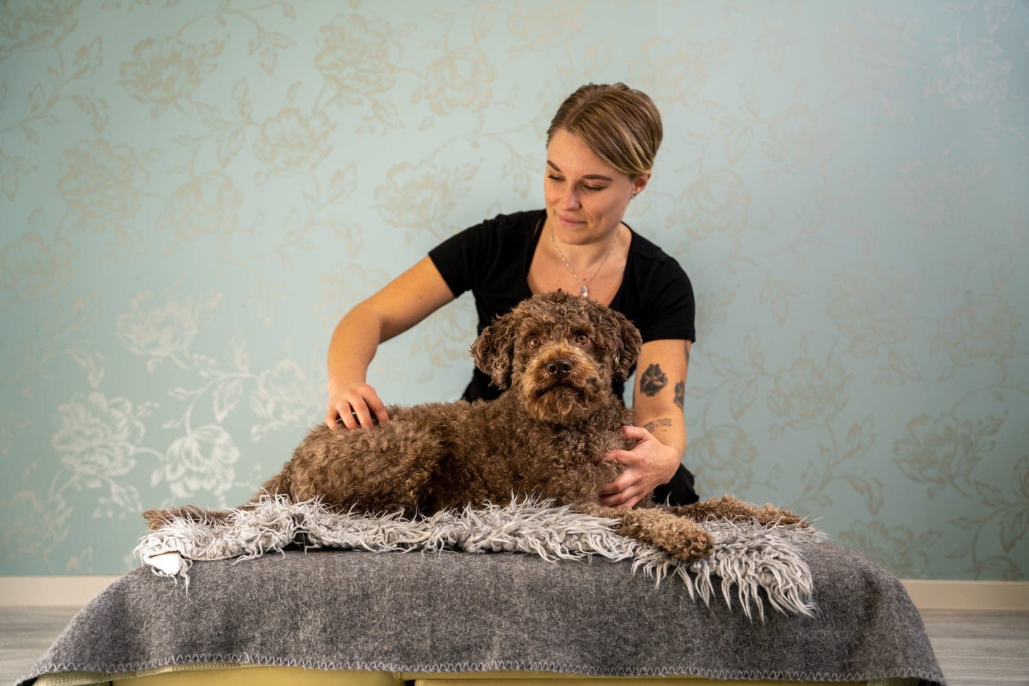 Hundmassage i friskvårdssyfte