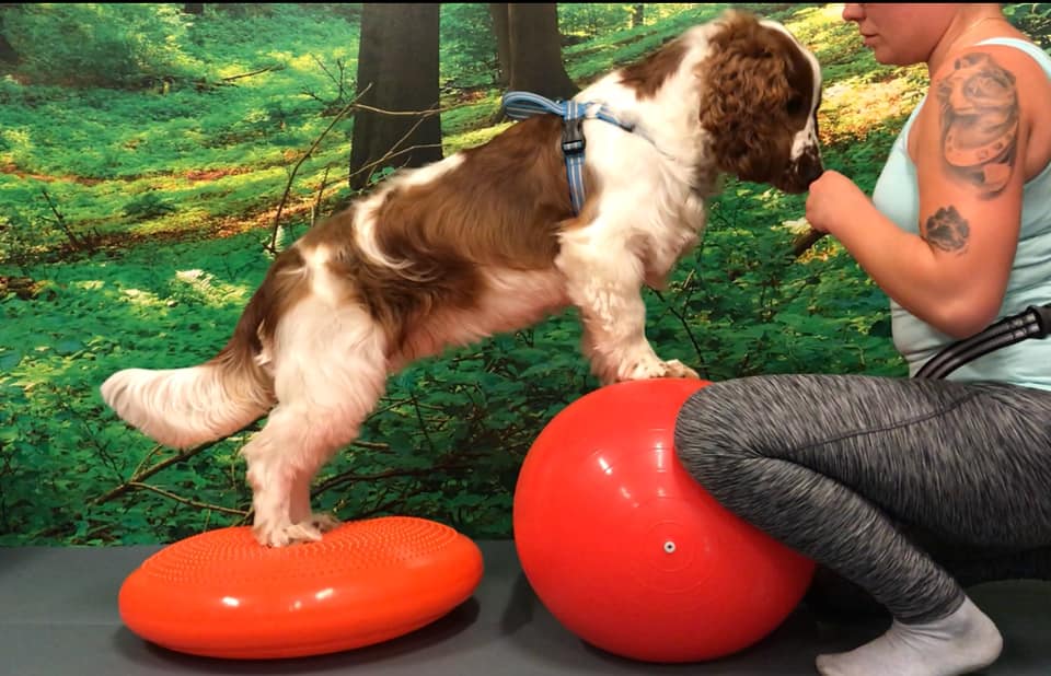 Kom igång med balansbollsträning