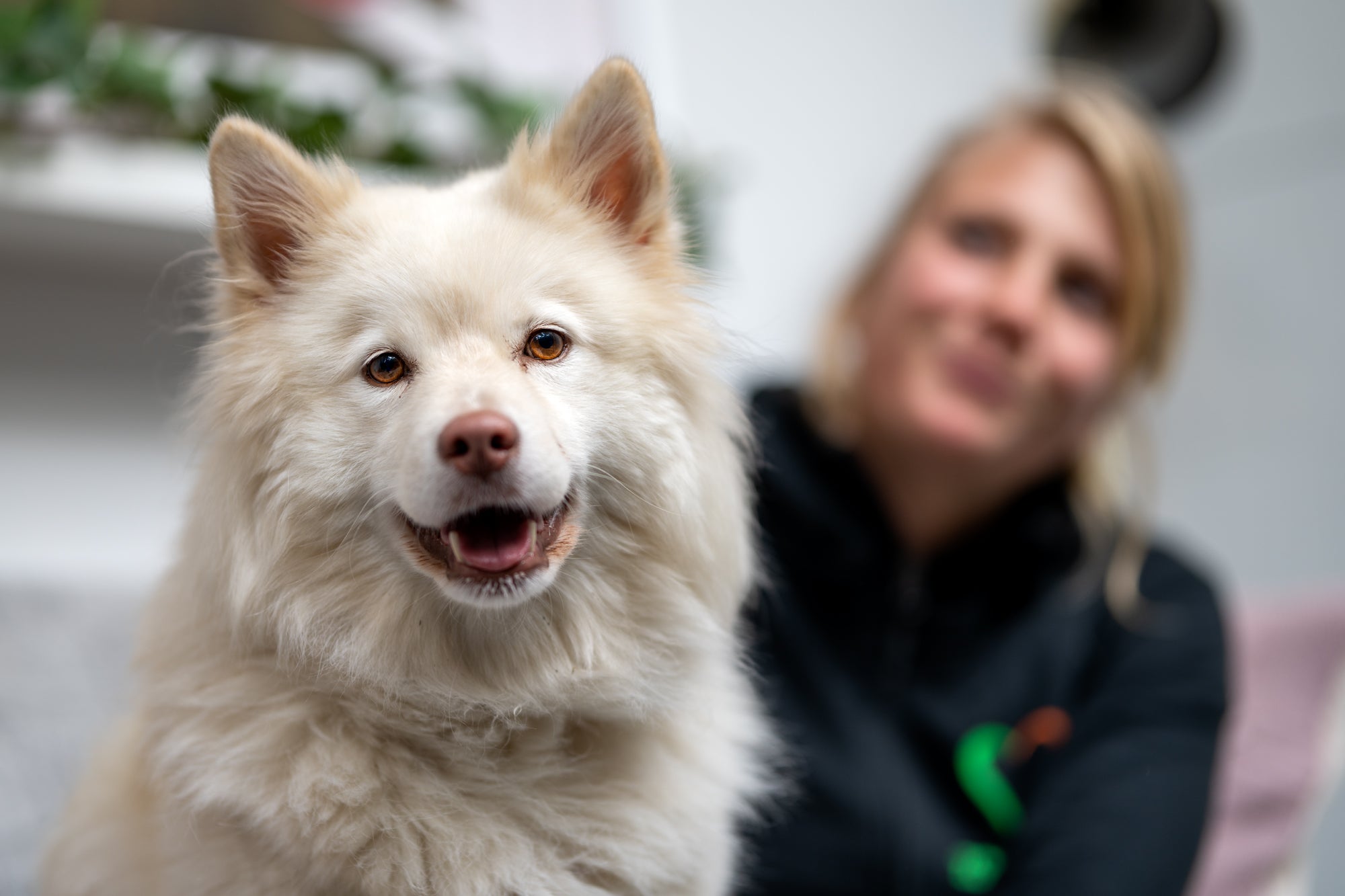 Snacks för alla djur