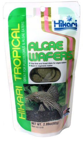 Hikari Algae Wafers | Endast 49 kr! - Zoogiganten