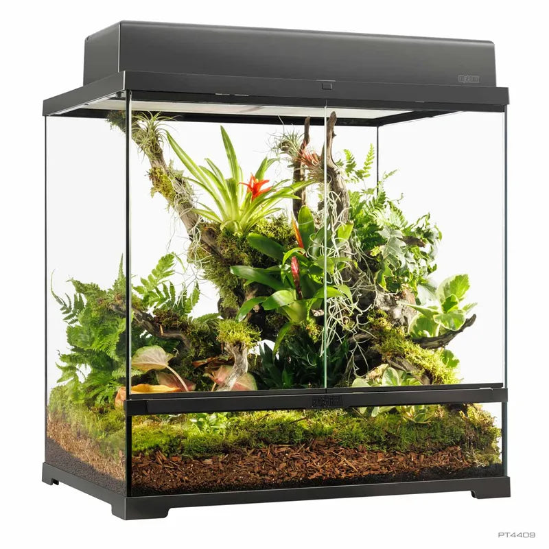 Terrarium Exoterra M Tall - 60X45X60 CM