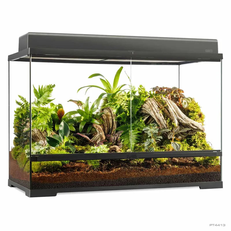 Terrarium Exoterra L Tall - 90X45X60 CM
