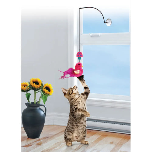 Kong Cat Connects Window Teaser Mix - 30 CM