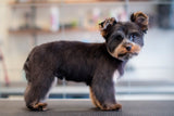BAMSEKLIPPNING | Endast 1259 kr! - Zoogiganten