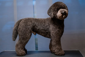 HUNDTRIM - BAMSEKLIPPNING | Endast 1259 kr! - Zoogiganten