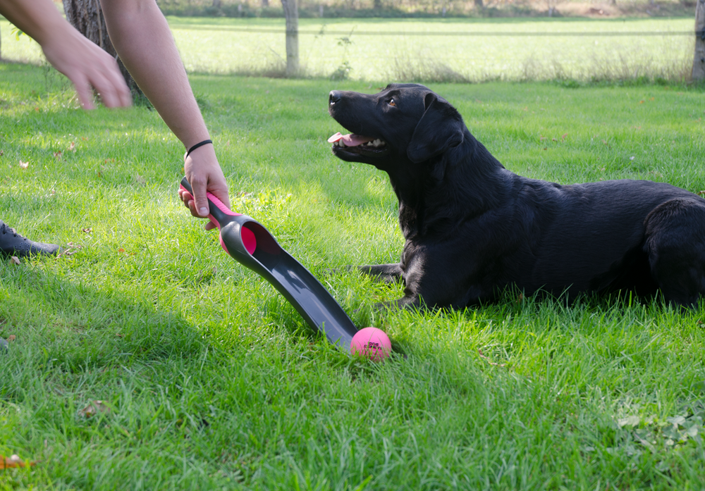 Dog Comets Star Launcher - Orange