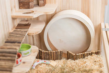 Hamsterhjul trä/kork | Endast 279 kr! - Zoogiganten