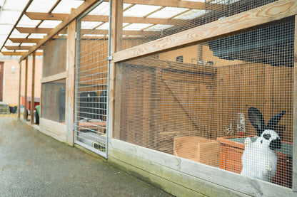 HOTELL - UTEHAGE FÖR KANIN & MARSVIN / DYGN