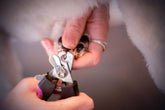 HUND - KLOKLIPPNING | Endast 159 kr! - Zoogiganten