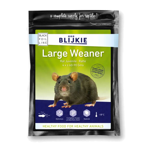 Large Weaner Rat 60-90 G - 4 Pack | Endast 189 kr! - Zoogiganten