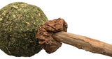 Matatabi Lollypop med Catnip - 11 CM