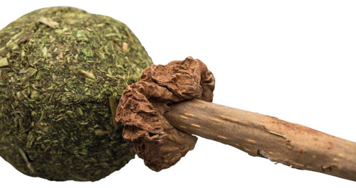 Matatabi Lollypop med Catnip - 11 CM