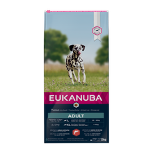 Euk Dog Ad Large Salmon & Barley - 12 KG