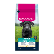 Euk Dog Adult Large - 15 KG