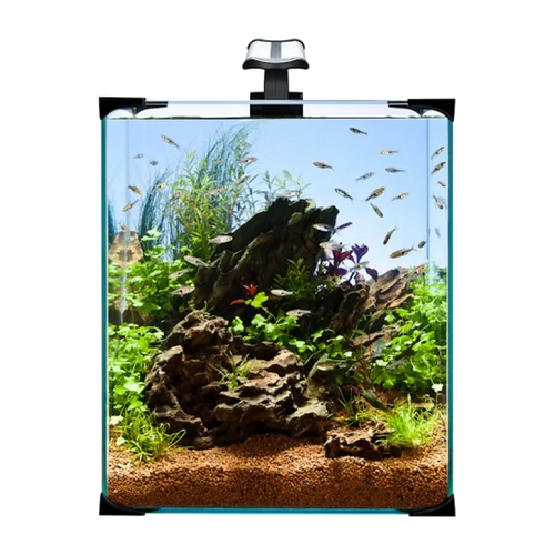 Akvarium Nano LED - 30 L | Endast 1459 kr! - Zoogiganten