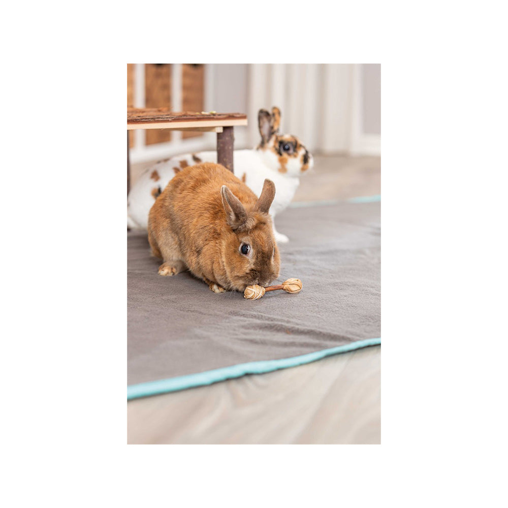 Apportpinne - Träset 2 st | Endast 49 kr! - Zoogiganten