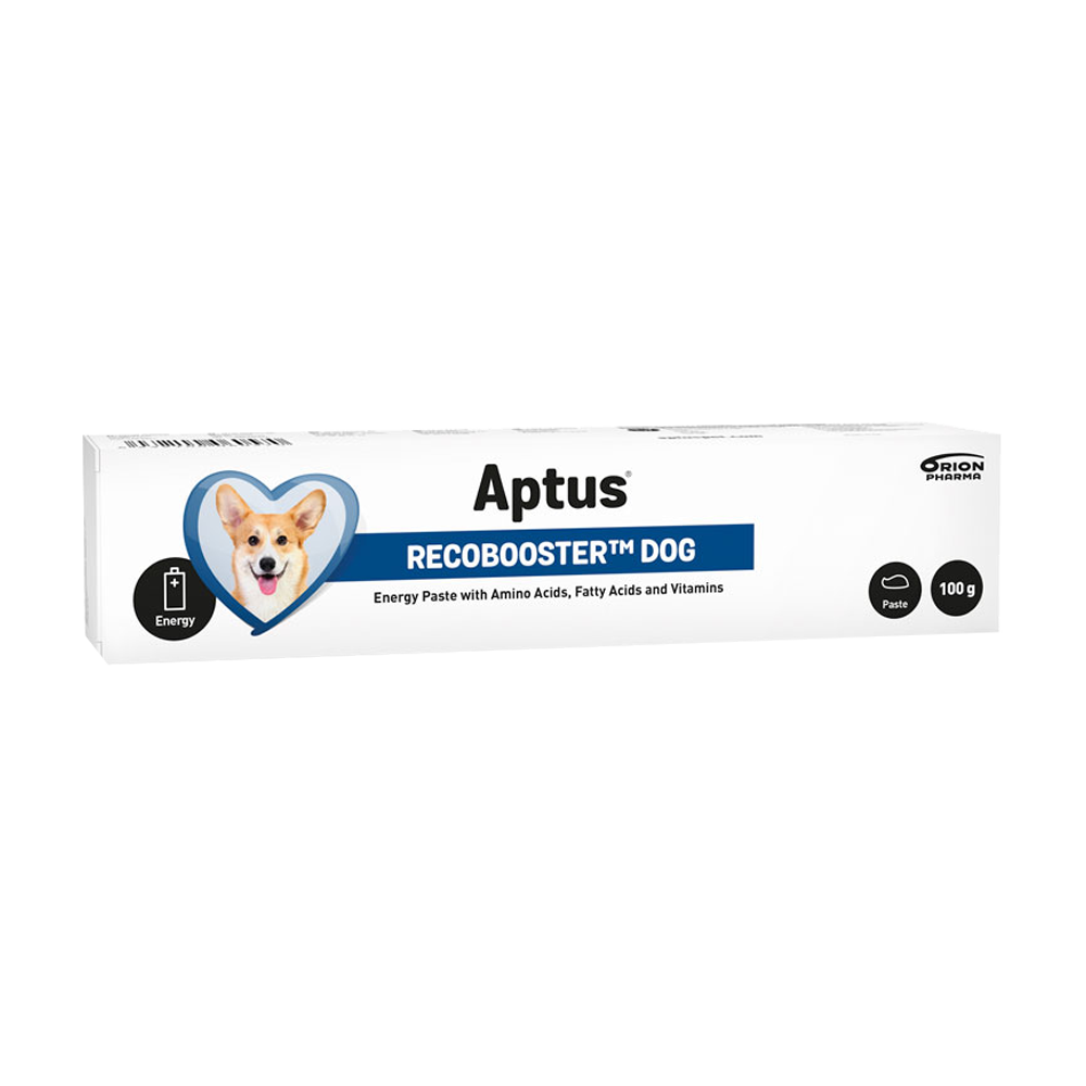 Aptus Recovery Booster Dog - 100 G