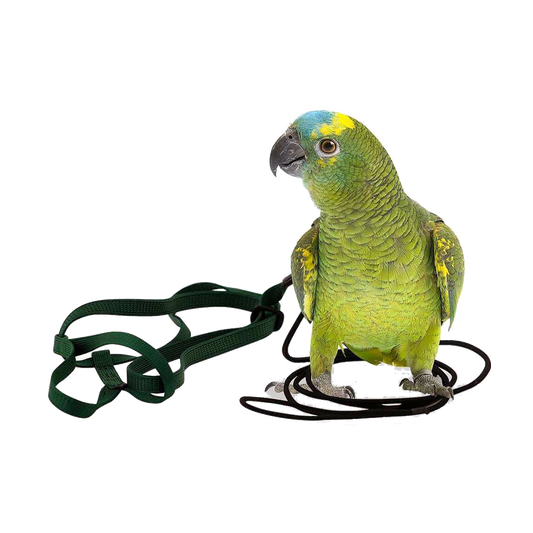 Aviator Flygsele - XS | Endast 369 kr! - Zoogiganten