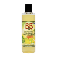 B&B Citrus - 250 ML