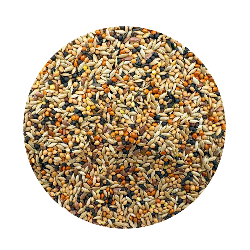 Kanarieblandning - 25 KG